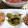 ＴＯＭＯＷＡＴ's cooksnap of when they made 甘長とうがらしのごまみそ和え.