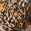 ひろぶの嫁's cooksnap of when they made ・煮干しの佃煮.