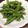 卵せんべい's cooksnap of when they made インゲンの中華和え.