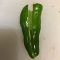 もきち☆'s cooksnap of when they made 万願寺シシトウ（とうがらし）の種だし方.