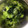 クックZ8J4H4☆'s cooksnap of when they made 簡単！きゅうりの酢の物.