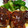♡Marry♡'s cooksnap of when they made ふんわり激ウマ定番ハンバーグ♪.