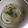 大阪のちゃーちゃん's cooksnap of when they made ハマグリのお吸い物.