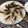 ちむたこりん's cooksnap of when they made パリパリ羽根付き餃子.