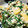 ひまみみ's cooksnap of when they made 簡単！春菊・柿・ちくわの白あえ.