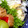 toshimao's cooksnap of when they made 天ぷら作るついでにぜひ♪タコ天ぷら.