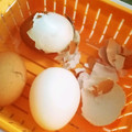 空ちっく's cooksnap of when they made 殻がつるりんゆで玉子.