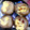 猫飯店☆'s cooksnap of when they made あと一品に！おつまみに！焼きしいたけ～☆.