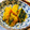 ooゆなoo's cooksnap of when they made かぼちゃの煮物.