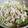 のらのらのらのらのら's cooksnap of when they made 超簡単！豚肉とピーマン玉ねぎてりやき炒め.