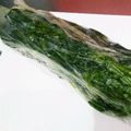 ぱんぐー♪'s cooksnap of when they made レンジで!ほうれん草の茹で方.