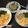 ゆるクマさん♡'s cooksnap of when they made 初心者も簡単★３色丼★彼ごはん.