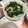 a0imama♡'s cooksnap of when they made 鶏ムネとみつばのゴマ和え.