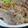 みにゃきき's cooksnap of when they made ほんとに簡単！ローストポークの作り方。.
