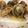 クック0XBBM0☆'s cooksnap of when they made しいたけの天ぷら.