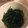 クックPW9C2T☆'s cooksnap of when they made ほんのり甘い〜ほうれん草のおひたし.