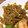 :えり坊's cooksnap of when they made ★もやし＆えのき★旨バターカレー炒め★.