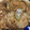 こうよし's cooksnap of when they made 豚の生姜焼き.