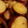 あらもーど好き's cooksnap of when they made 簡単♫サツマイモと鶏の蜜マヨ炒め♫.
