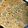 クック12SNAR☆'s cooksnap of when they made *人参の葉のちぢみ*.