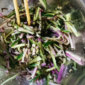 サバンナモニター's cooksnap of when they made きゅうりと赤大根の和え物.