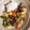 クック79V5MC☆'s cooksnap of when they made 豚肉と生キクラゲ他の中華風玉子炒め.