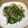 たんぽぽみーちゃん's cooksnap of when they made 豆苗とツナの炒め物.