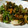 こぼく's cooksnap of when they made 鶏のソテーとピーマンきのこバター醤油炒め.