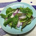おはなすき's cooksnap of when they made 赤かぶとベビーリーフのレモン塩サラダ.