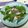おはなすき's cooksnap of when they made 赤かぶとベビーリーフのレモン塩サラダ.