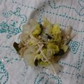 イチゴ、イチゴ。's cooksnap of when they made 白の温野菜サラダ.