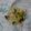 イチゴ、イチゴ。's cooksnap of when they made 白の温野菜サラダ.