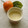 puniＫ's cooksnap of when they made 塩麹で『マヨだれ』♬.