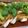 nori-kun's cooksnap of when they made ★３ステップ★蒸し鶏 ナンプラーソース.