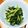 ◎とみー◎'s cooksnap of when they made 簡単早い♪ 大根の葉のお浸し❀朝食にも❀.