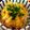 yueie's cooksnap of when they made 焼き鳥缶でお手軽親子丼.