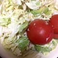 クック2ZQ2HF☆'s cooksnap of when they made 簡単♥白菜とツナのサラダ.
