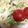クック2ZQ2HF☆'s cooksnap of when they made 簡単♥白菜とツナのサラダ.