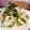 chiecocoa's cooksnap of when they made 里芋のじゃこねぎ和え.