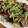 きよやよ's cooksnap of when they made あさりの酒蒸し.