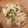 やんちゃゆかりん's cooksnap of when they made 大根サラダ☆ダーリンお墨付き☆.