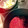 クックOWA6DH☆'s cooksnap of when they made ☆我が家のトマトソース☆.