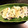 ★mii☆★'s cooksnap of when they made 大根のおやき.