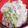 みゃじま's cooksnap of when they made 白菜とシラスのゆかりサラダ.