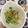 ぽぽきゅ's cooksnap of when they made シンプル　イズ　ベスト！かいわれ大根♡.