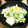 churu's cooksnap of when they made 今が旬!白菜とりんごの簡単サラダ♪.