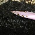 くっちままん's cooksnap of when they made 海苔の佃煮.