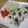 サオリ's cooksnap of when they made 鶏ひき肉の野菜チーズロール.