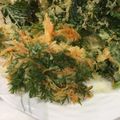 ☆えりんこ☆★'s cooksnap of when they made 人参の葉のかき揚げ.