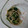 イチゴ、イチゴ。's cooksnap of when they made ☆ほうれん草とえのきの辛子和え☆.